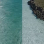 diferencia entre el agua salada y el agua dulce